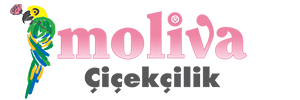 Moliva Çiçekçilik logo