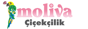 Moliva Çiçek logo